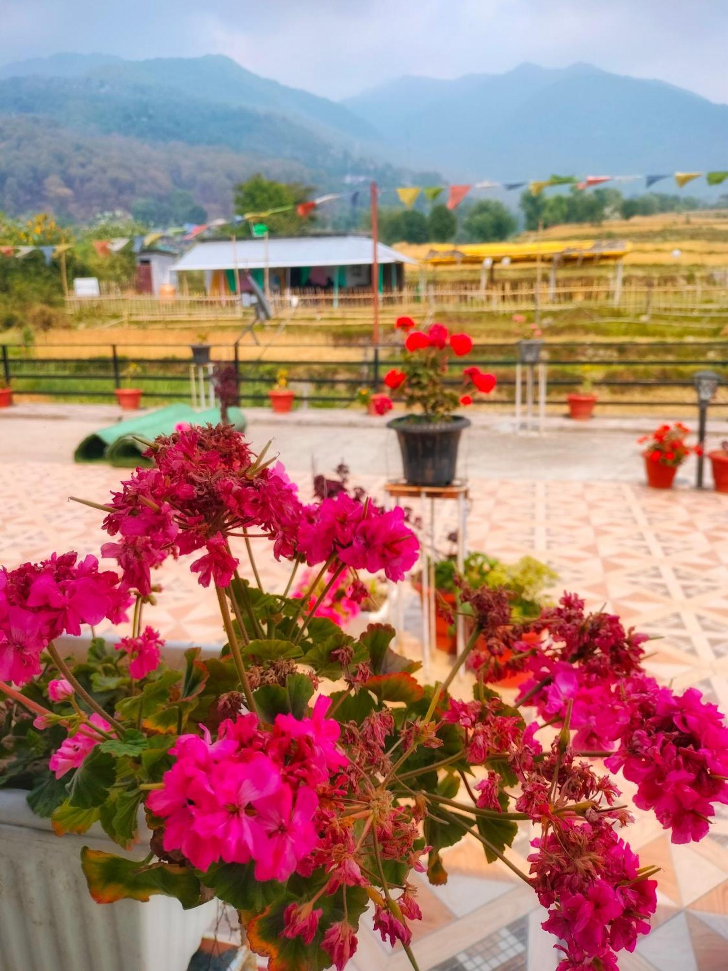 Raahi Stay, Landing Site Bir - Stay & Cafe Kültér fotó